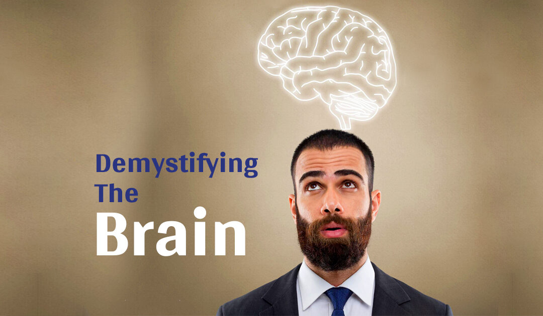 Demystifying the Brain