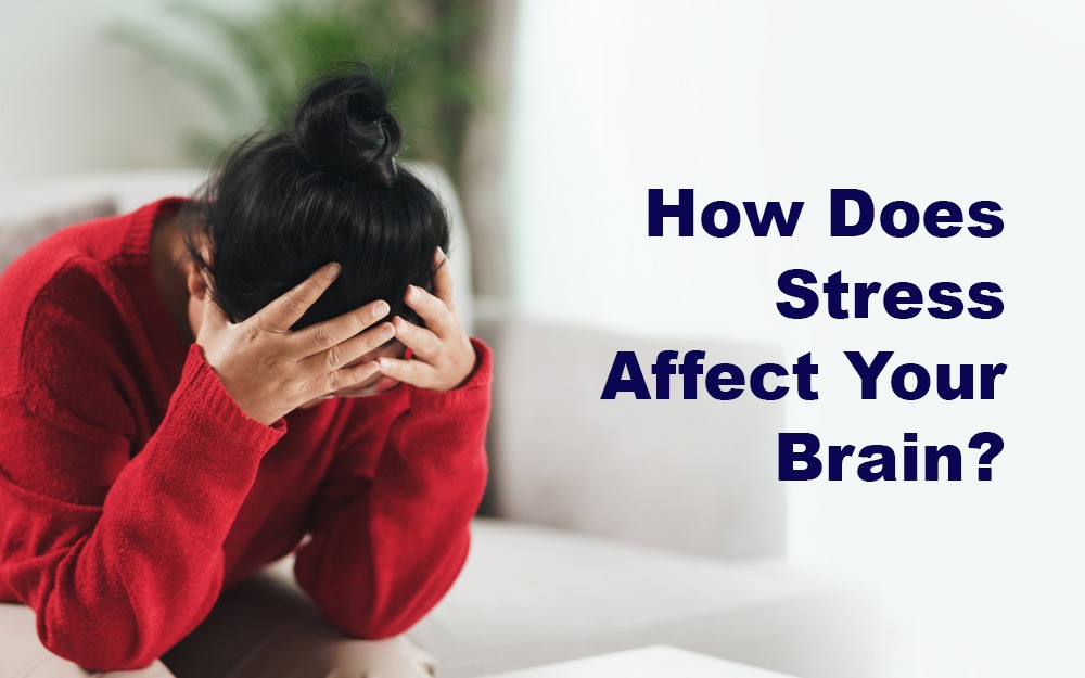  How Does Stress Affect Your Brain?